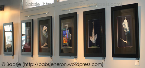 Great Blue Herons at TCAN Lobby January & February 2022 - babsjeheron © 2022 Babsje (https://babsjeheron.wordpress.com)
